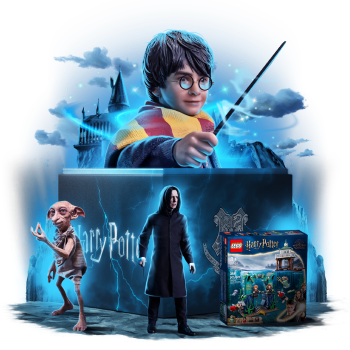 Mystery Box Harry Potter