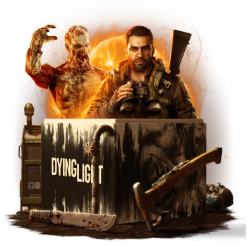 Mystery Box Dying Light