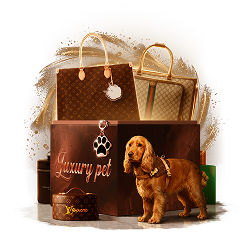 Mystery Box Luxury Pet