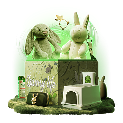 Mystery Box Bunny Life