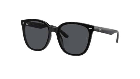 RB4423D Sunglasses
