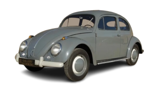 Beetle
