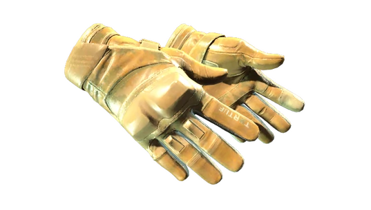 Moto Gloves | Transport (Minimal Wear)