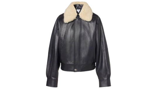 Shearling-Trimmed Leather Blouson - Navy Dark