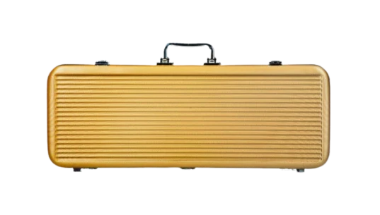 ABS Poker Chips Case - Gold/ Black