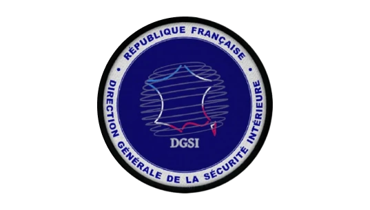 DGSI Logo Patch