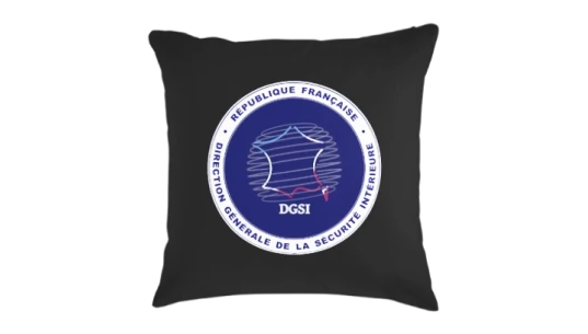 DGSI Logo Throw Pillow Small - Black