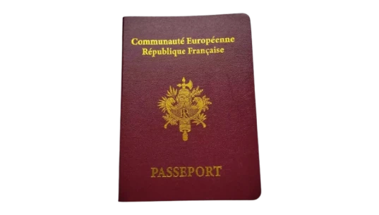 French Passport Prop Replica