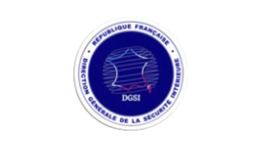 DGSI Logo Magnet