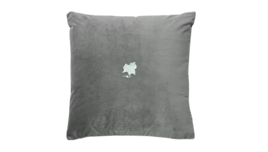 Bulbasaur Thunderbolt Miyashita Park Cushion - Grey