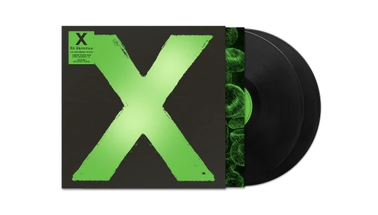 X 10th Year Anniversary LP