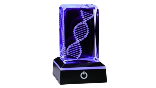 3D Crystal DNA Model With LED Base