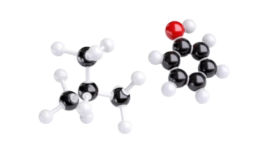 Molecular Model Kit 240 Pcs