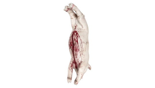 Bloody Slashed Pig Carcass Prop 105cm