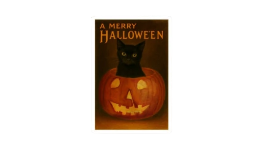 Black Cat And Pumpkin Marry Halloween Sticker