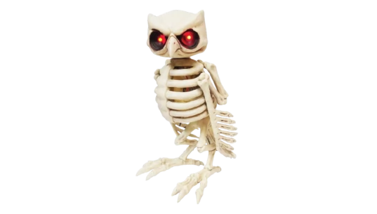 Skeleton Owl Animatronic with Sound - White