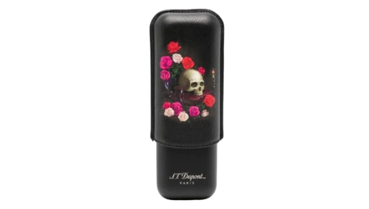 Skull-Print Leather Cigar Case - Black/Multicolor