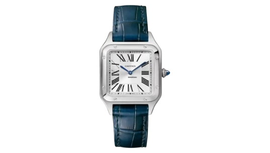 Santos Dumont WSSA0023