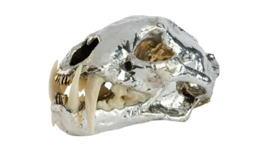 Leopard Skull Centrepiece - Silver-Tone