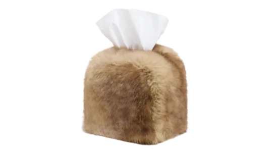 Davey Tissue Box - Brown