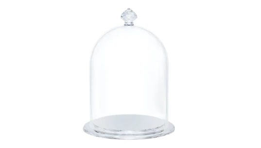 Bell Jar Display Small - Silver Tone