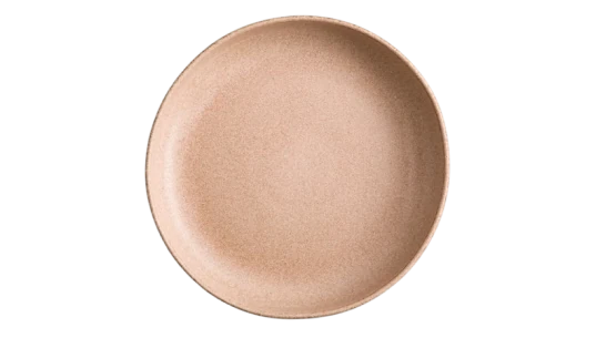 Set of 4 Gandra Stoneware Pasta Dishes - Sandy Pink