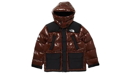 700-Fill Down Parka FW22 - Brown