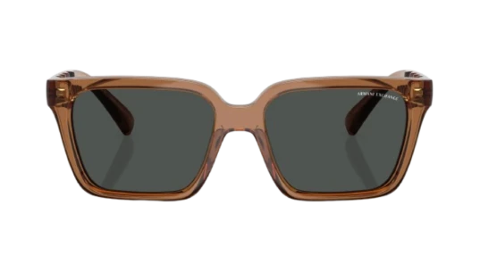 4147S Sunglasses - Brown