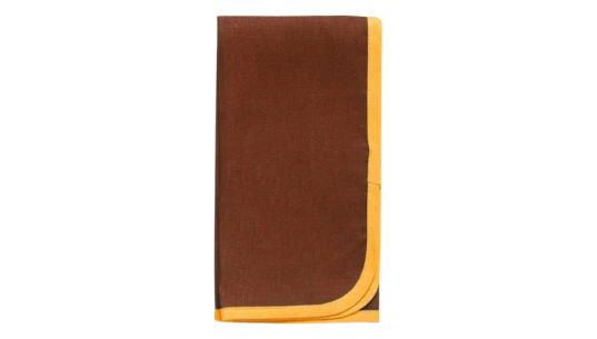 Contrast-Trim Linen Napkins Set Of 2 - Chocolate Brown/Yellow
