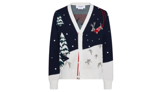 Holiday Scenic Relaxed Fit Cardigan - Multicolor