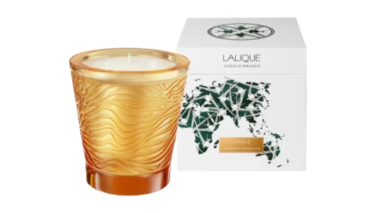 Jungle Voyage Scented Candle 750g