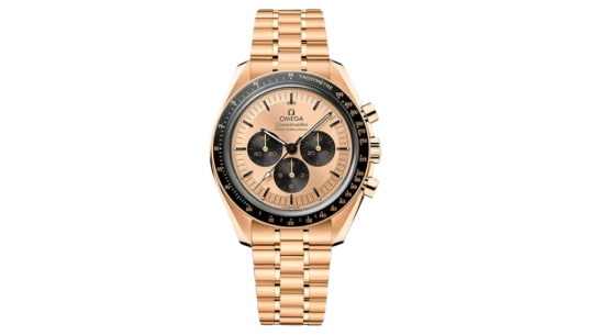 Speedmaster Professional Moonwatch 310.60.42.50.99.002