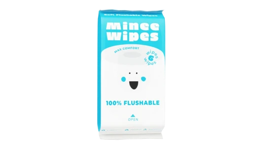 Flushable Mini Wipes Pack Of 48