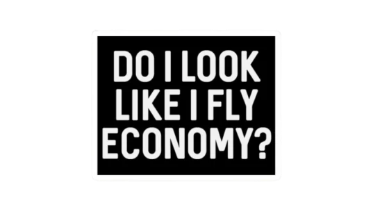 Do I Look Like I Fly Economy Sticker