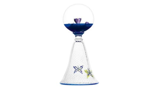 Butterfly Net 2025 - Blue/White/Clear