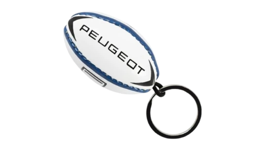 Logo Rugby Ball Keyring