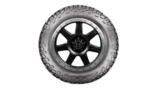 Discoverer Rugged Trek 22"