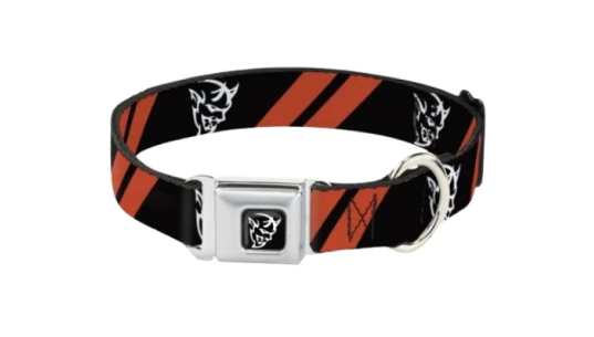 1.5" Demon Seatbelt Buckle Dog Collar