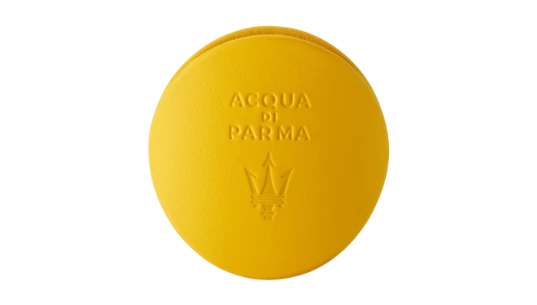 Car Fragrance Diffuser Case - Yellow