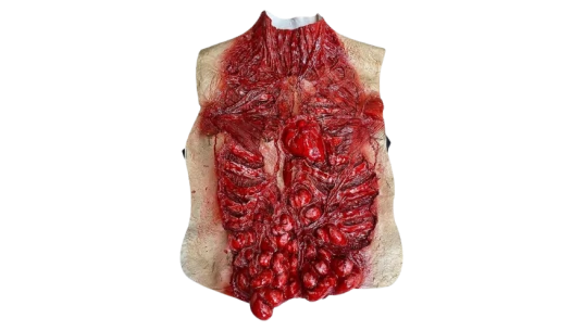 Bloody Intestine Zombie Torso Costume
