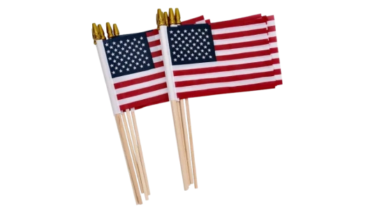 Small American Flags on Stick 12 Pack