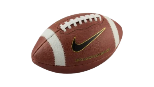 Championship Football - Brown/White/Metallic Gold/Black