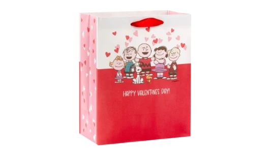 Gang On Medium Valentine's Day Gift Bag - Red/White