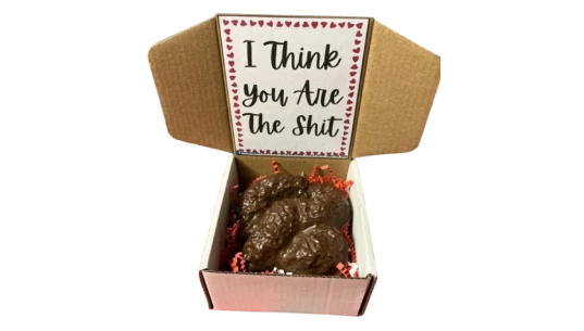 Valentine's Day Chocolate Poop Gift