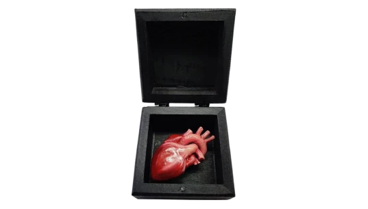 Human Heart Replica In a Box Valentines Day Gift