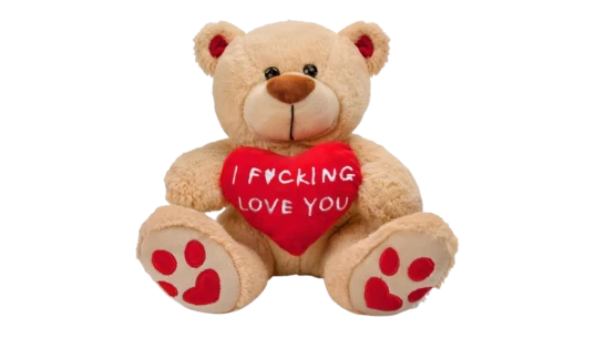 Plush Stuffed Teddy Bear 10" - Multicolor