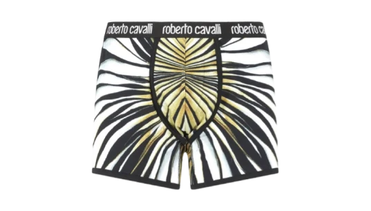 Graphic Print Boxer Briefs - White/Black/Gold