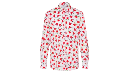 Lightweight Cotton Poplin Shirt with Print - Multicolor