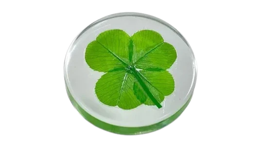 Real Four Leaf Clover Good Luck Pocket Token