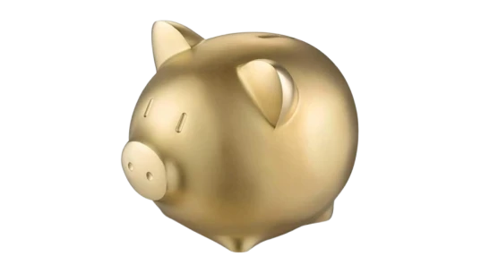 Large Coin Piggy Bank - Copper